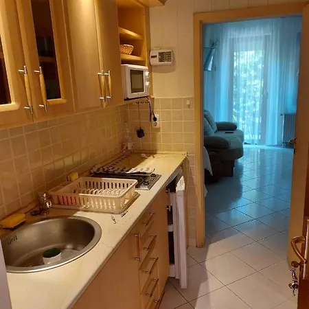 호텔 Lelle Apartman 발라톤엘